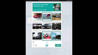 HONK hCaptcha bot in action