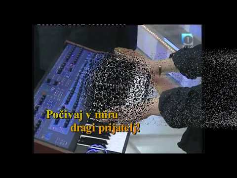 Skupina PRAH  - Halo Nataša