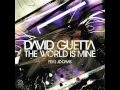 David Guetta feat. JD DAVIS - The World Is Mine ...