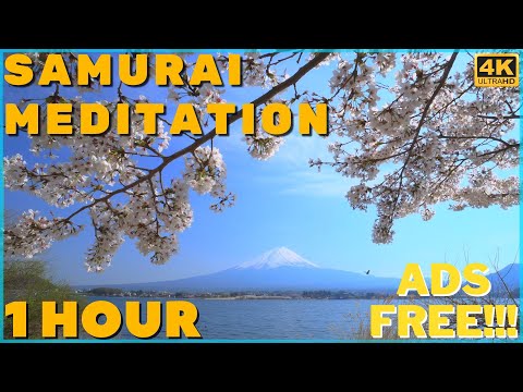 SAMURAI MEDITATION - 1 HOUR - JAPANESE MUSIC RAIN MEDITATION - LAST SAMURAI - 4K