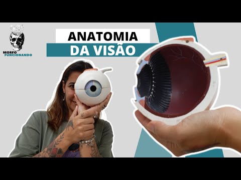 SENTIDOS ESPECIAIS - VISÃO - ÓRBITA, BULBO DO OLHO, M.M. EXTRÍNSECOS, INERVAÇÃO E VIA VISUAL #11