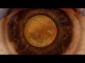 Klaatu - Little Neutrino