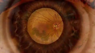 Klaatu - Little Neutrino