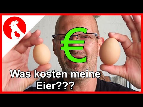 062 Was kosten mich meine Eier in der privaten Hobby Hühner Haltung? -  Jensman and the Huhns 🐔