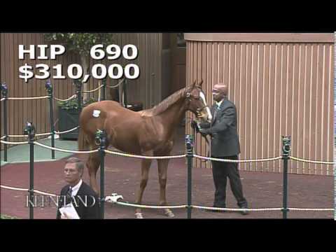 2014 November Breeding Stock Sale: Hip 690 - (Malibu Moon - Life Lesson)