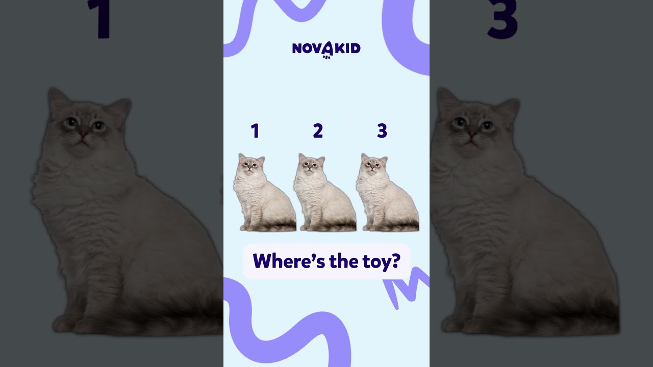 Novakid is hiring ESL Teachers!