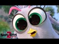 The Angry Birds Movie 2 Meet The New Birds And Pigs Silver