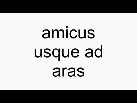 How to pronounce amicus usque ad aras
