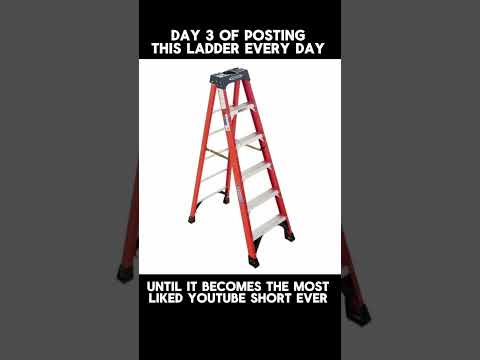Day 3 of Posting this Ladder Until it Becomes the Most Liked Short Ever #laddergang
