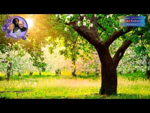 Rodzina Poszepszyńskich - Wiosenne porządki - Kabaret