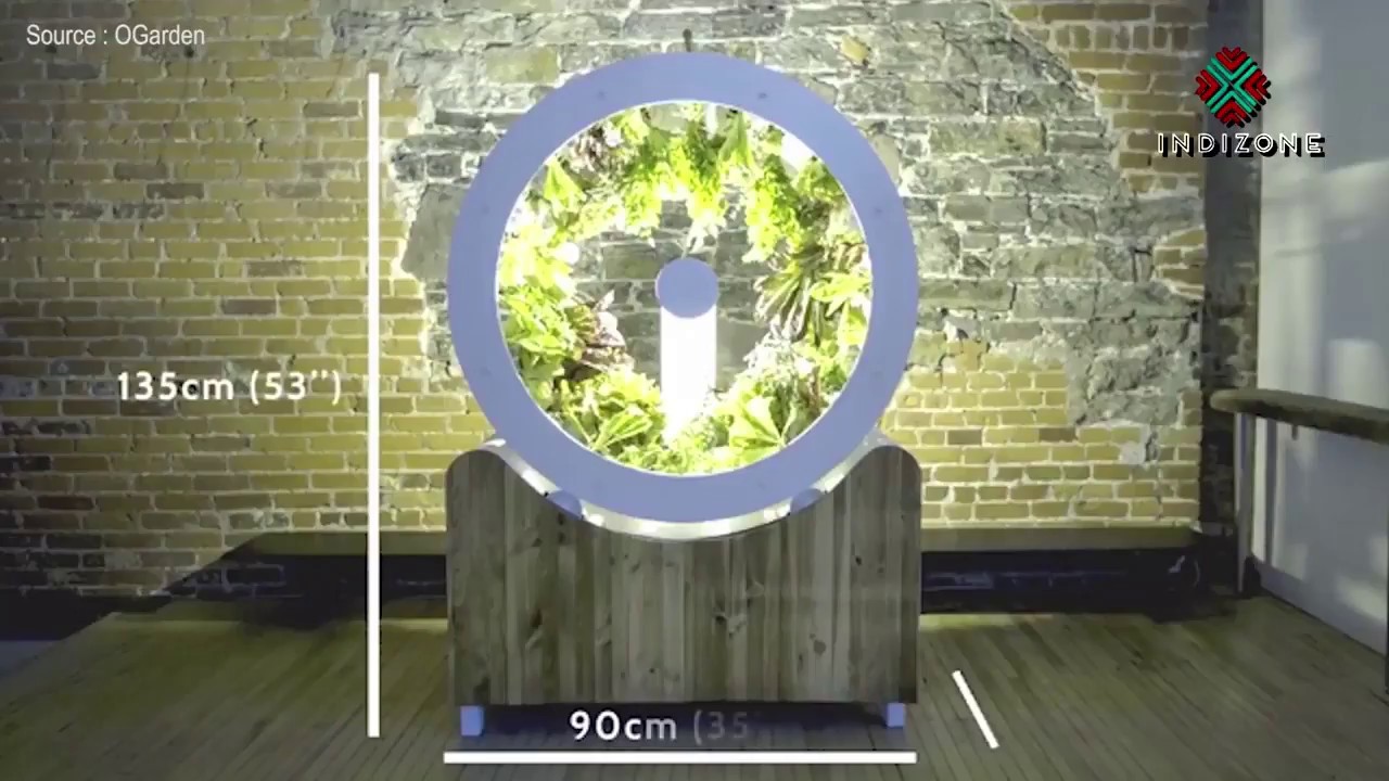 OGarden video thumbnail