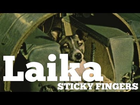 Laika (Acoustic Cover)