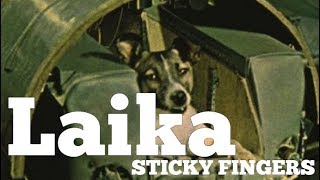 Laika (Acoustic Cover)