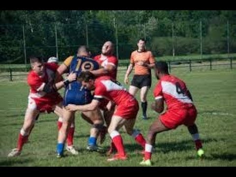 Prvenstvo Srbije / 5. kolo / Crvena zvezda - Dorćol