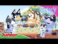 Idealna Sałatka Blue Disney Junior Polska