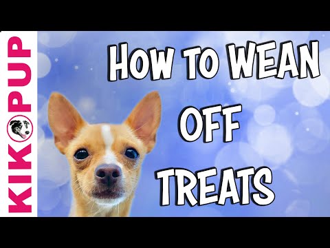 STOP UNWANTED behaviors with BACK UP