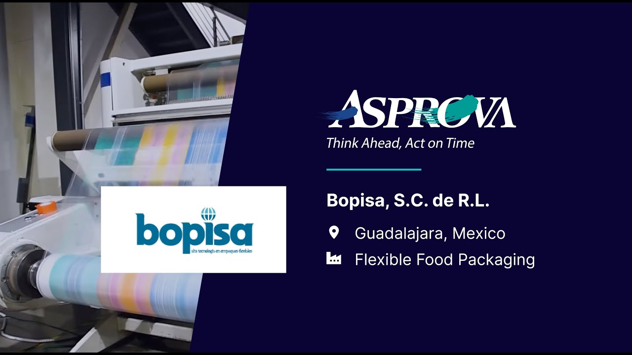 Case Study Bopisa (English)—Production Scheduling With Asprova APS