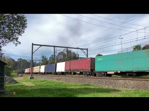 20240823_1338 5BS6 Gonarro