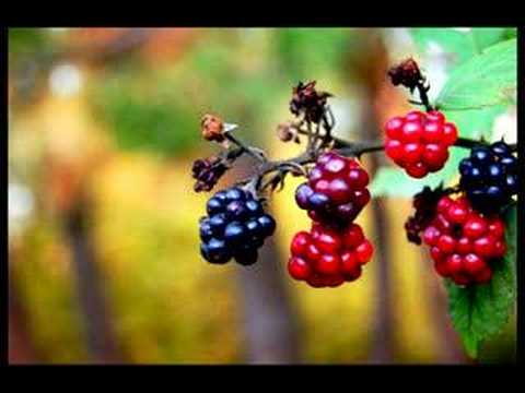 GJOKO TANESKI - Zbogum Najmila