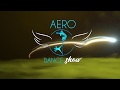 Jay Flamingo 1st Place Aerodanceshow POLESHOW 2019