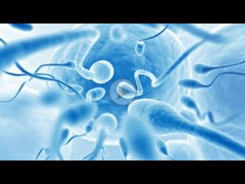 A lejohet të bëjë fëmijë një femër beqare me metodën invitro?