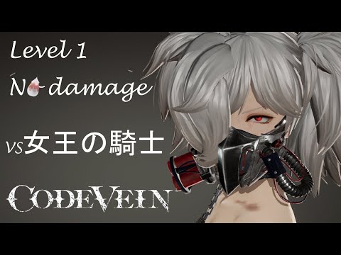 vs女王の騎士 Level1 No damage play(One-Handed Sword)