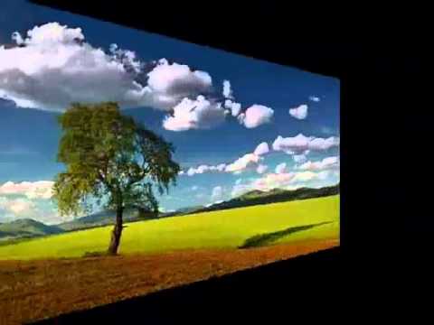 Frantisek nedved prázdny dum