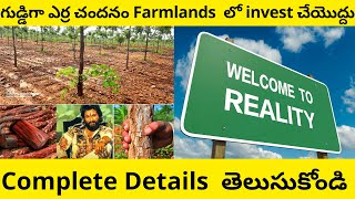 Everything Need to Know before Investing in Red Sandal Farmlands | Erra Chandanam
