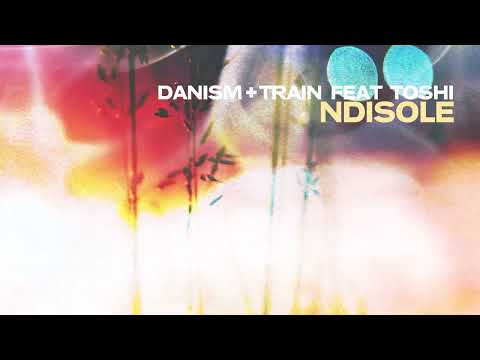 Danism + Train feat. Toshi - Ndisole (Eric Kupper Remix)