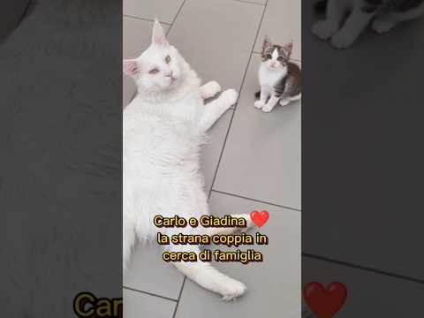 Carlo e Giadina la strana coppia inseparabile ❤️