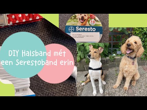 DIY Tutorial halsband maken voor de Seresto vlooienband voor honden - hulphonden