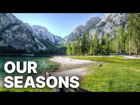 The Magical Four - Our Seasons | Extraordinary Animal Stories