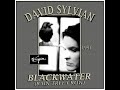 David Sylvian - Blackwater (1991)