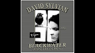 David Sylvian - Blackwater (1991)
