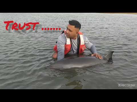 love with dolphin 😍..with dinushi