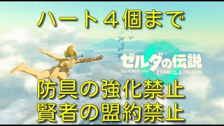 ハート４個、防具の強化禁止、賢者の盟約禁止縛り #5【ゼルダの伝説 ティアーズオブザキングダム】【ティアキン】   #ゼルダの伝説