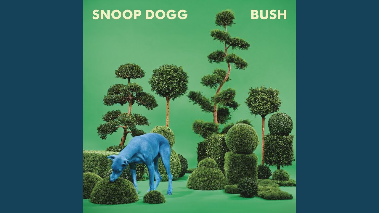 Snoop Dogg - I'm Ya Dogg