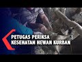 petugas periksa kesehatan hewan kurban