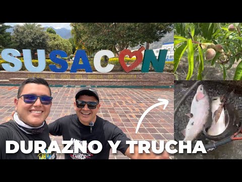 Como es un Cultivo de Durazno y de Trucha en una Finca Colombiana