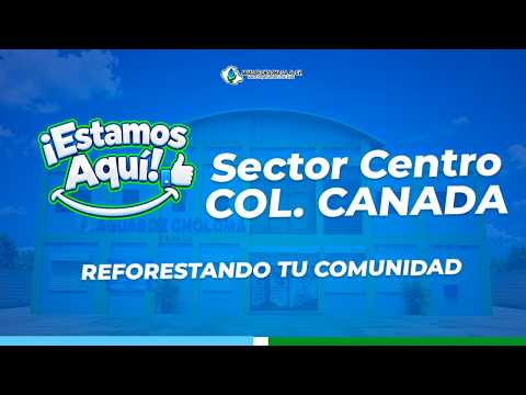 🌳 Reforestando la colonia Canadá | Aguas de Choloma