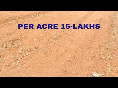 23 Acre Agricultural/Farm Land for Sale in Kulathur, Pudukkottai