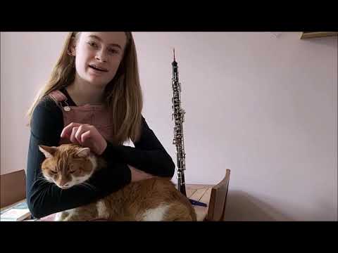 De hobo, dat ben ik! Le hautbois, c'est moi! The oboe, that's me! Aflevering 1