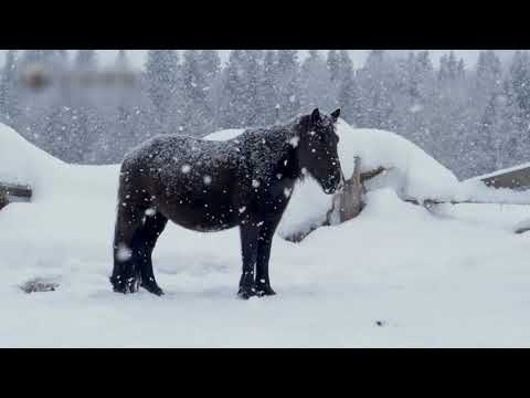 Hemu Village in China's Xinjiang.