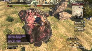 [PS4]DDON - シーカー 巨人戦 戦闘スタイル