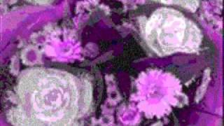 Default - Beautiful Flower