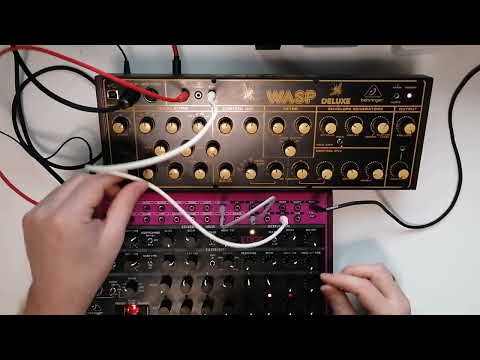 Behringer edge and WASP in Action.