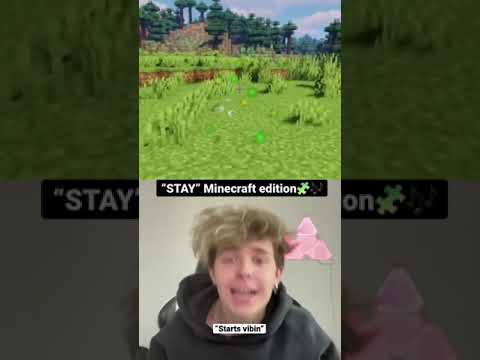 JT Casey - We Made This Song In Minecraft🤭🧩 #minecraft #shorts #stay