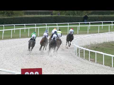 2019.10.06. 03. futam - TRY WELL HENDIKEP (II.o.) (szintetikus pálya)