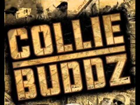 Collie Buddz   SensimilliaFeat  Roache