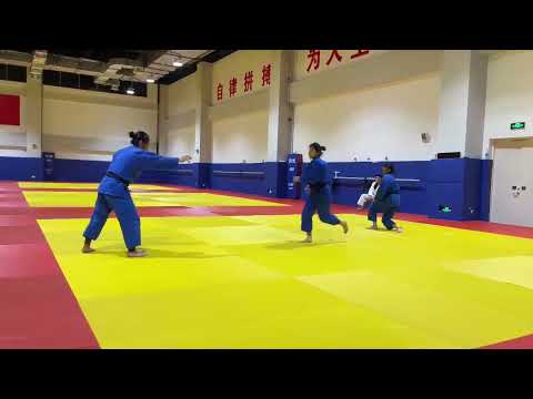Special Judo Fitness Test